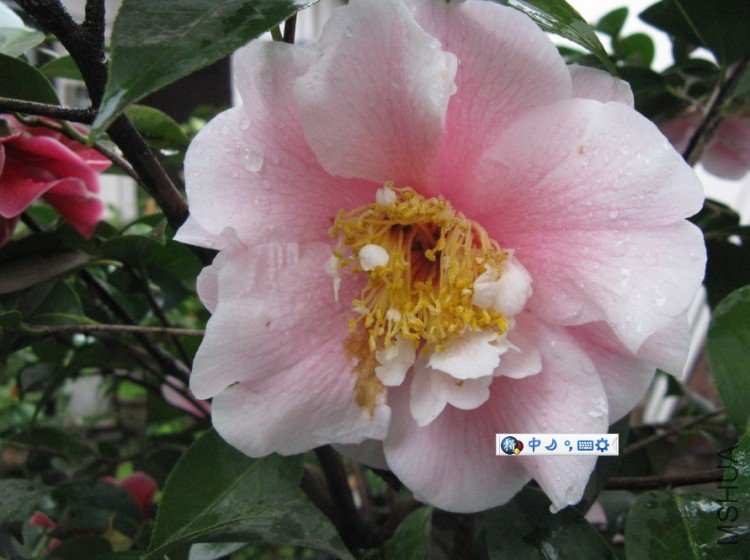 Image00004.jpg