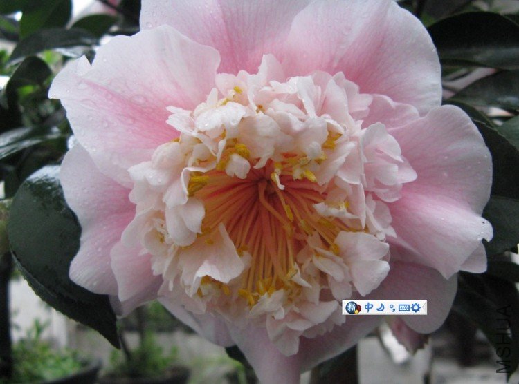 Image00007.jpg