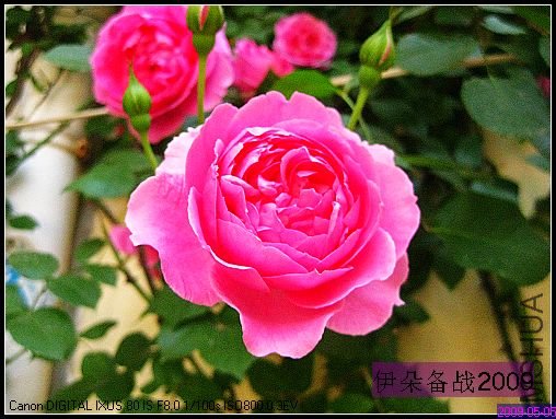 nEO_IMG_��Ƭ 041.jpg