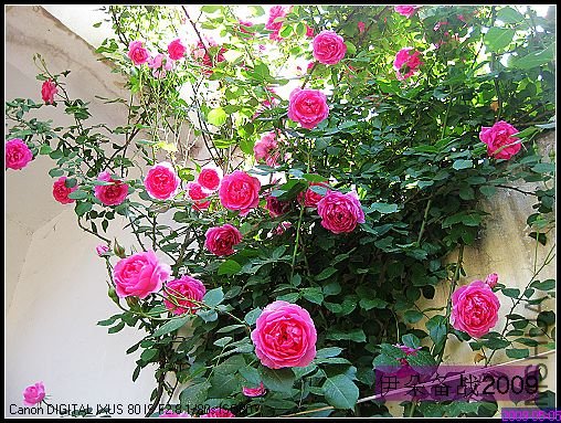 nEO_IMG_��Ƭ 043.jpg