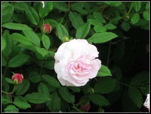 ��Ƭ 023_nEO_IMG.jpg