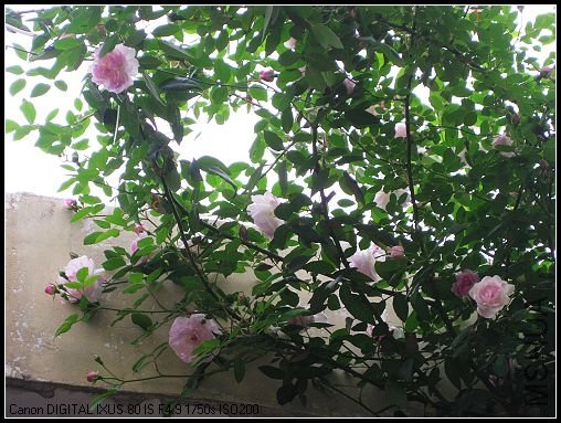 ��Ƭ 035_nEO_IMG.jpg