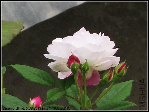 ��Ƭ 025_nEO_IMG.jpg