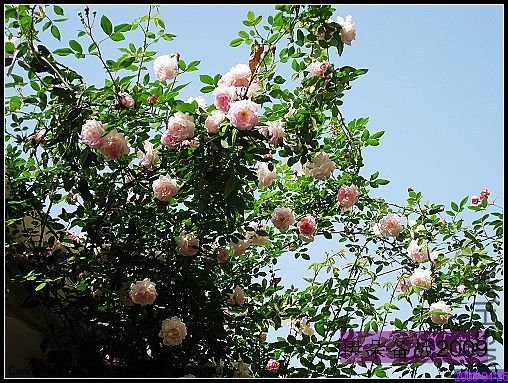 ��Ƭ 010_nEO_IMG.jpg