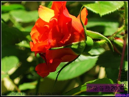 ��Ƭ 008_nEO_IMG.jpg