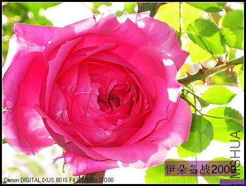 ��Ƭ 003_nEO_IMG.jpg