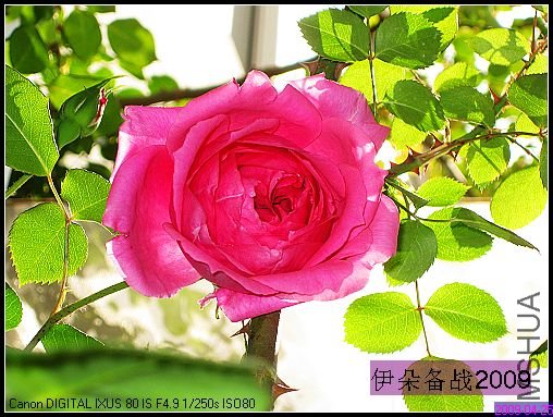 ��Ƭ 024_nEO_IMG.jpg