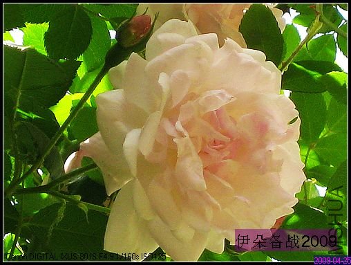 ��Ƭ 013_nEO_IMG.jpg