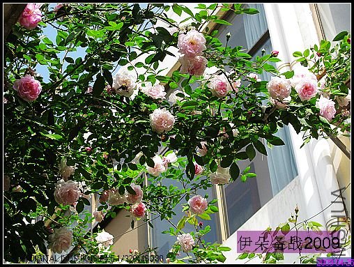 ��Ƭ 012_nEO_IMG.jpg