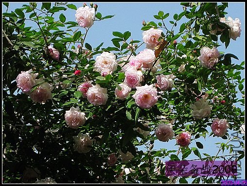 ��Ƭ 014_nEO_IMG.jpg