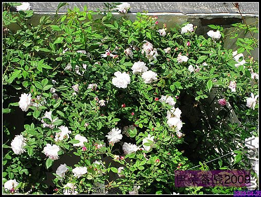 ��Ƭ 035_nEO_IMG.jpg