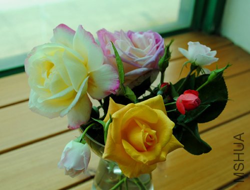 DSC_0072.jpg