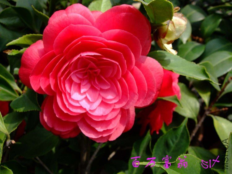 ������  10-4-18 (1).jpg