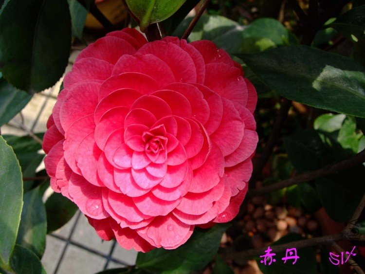 �൤   10-4-18(1).jpg