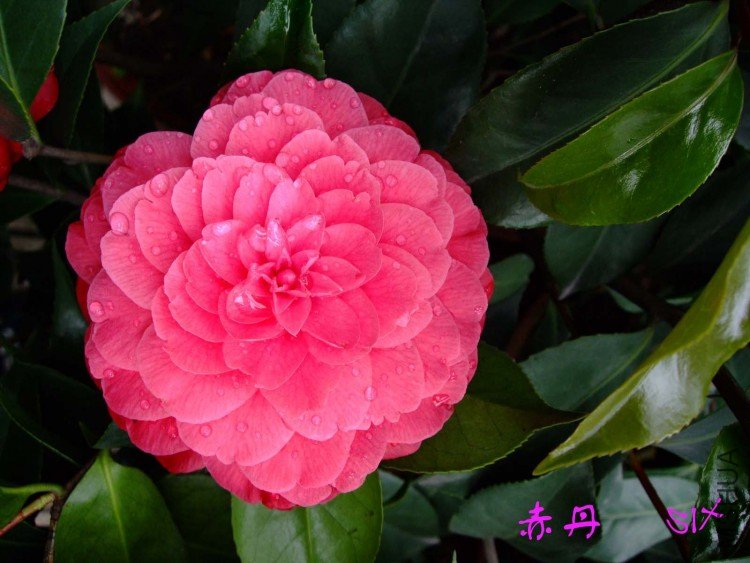 �൤   10-4-18 (2).jpg