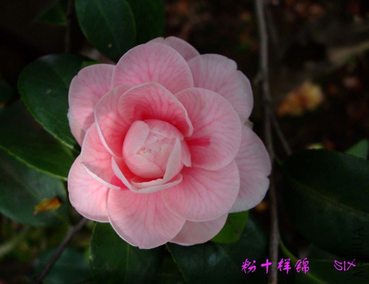 ��ʮ���� 10-4-18(1).jpg