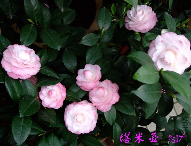 ������ 10-4-18 (2).jpg