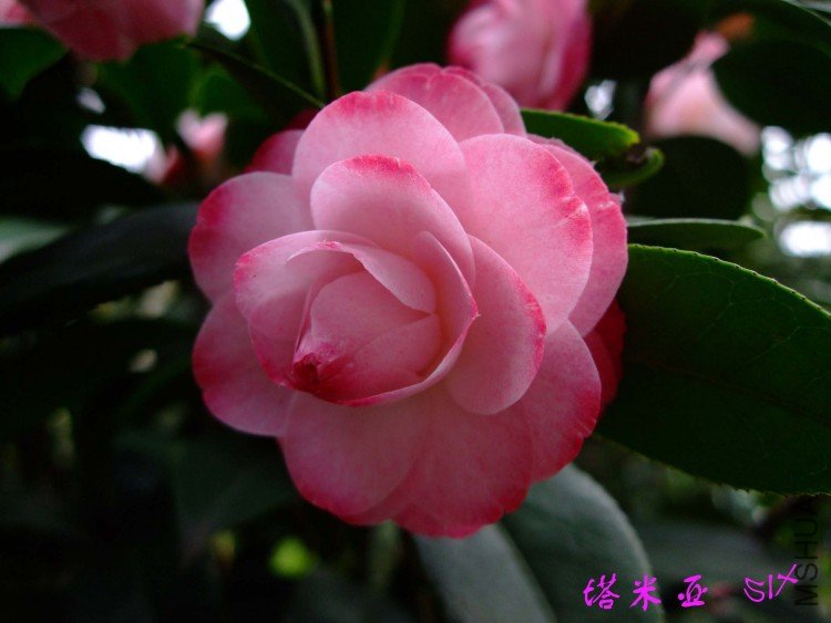 ������ 10-4-18(1).jpg