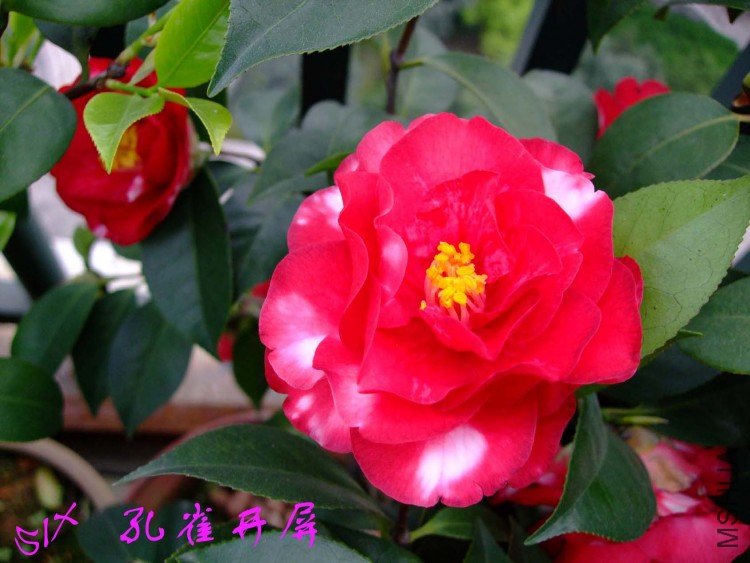 ��ȸ���� 10-4-18(1).jpg