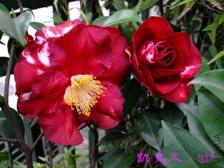 ������  10-4-18(1).jpg