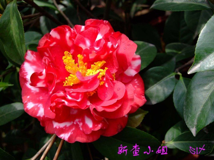 �²�  10-4-18 (1).jpg