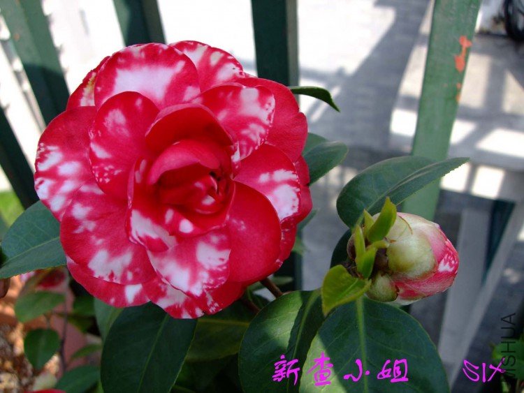 �²� 10-4-17 (1).jpg