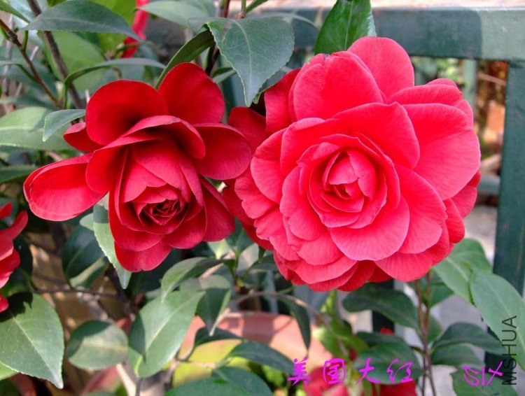 ���� 10-4-17 (1).jpg