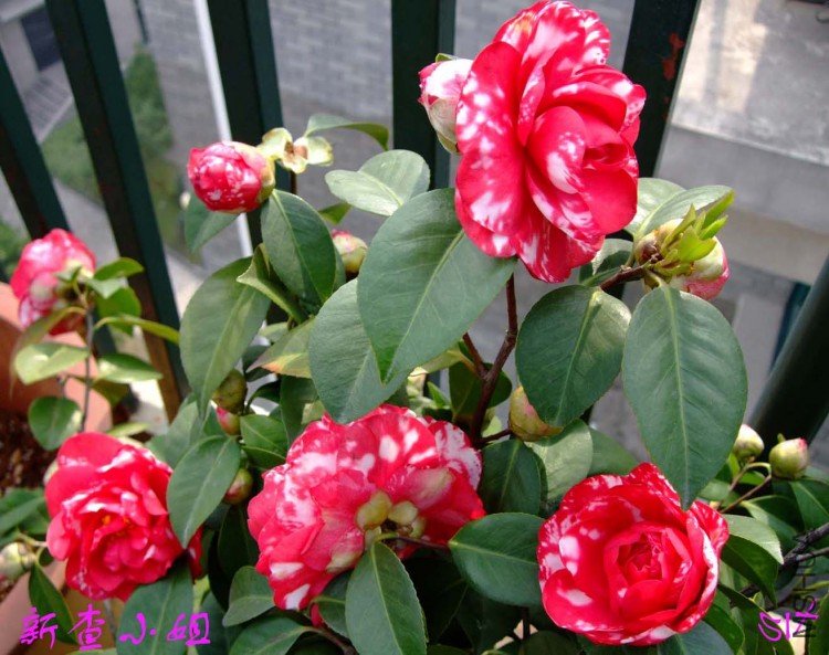 �²� 10-4-17 (2).jpg