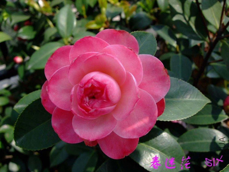 ����ã 10-4-17 (1).jpg