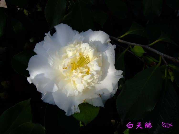 ����� 10-4-16(1).jpg