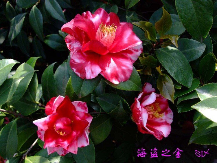 ����֮��  10-4-16(2).jpg