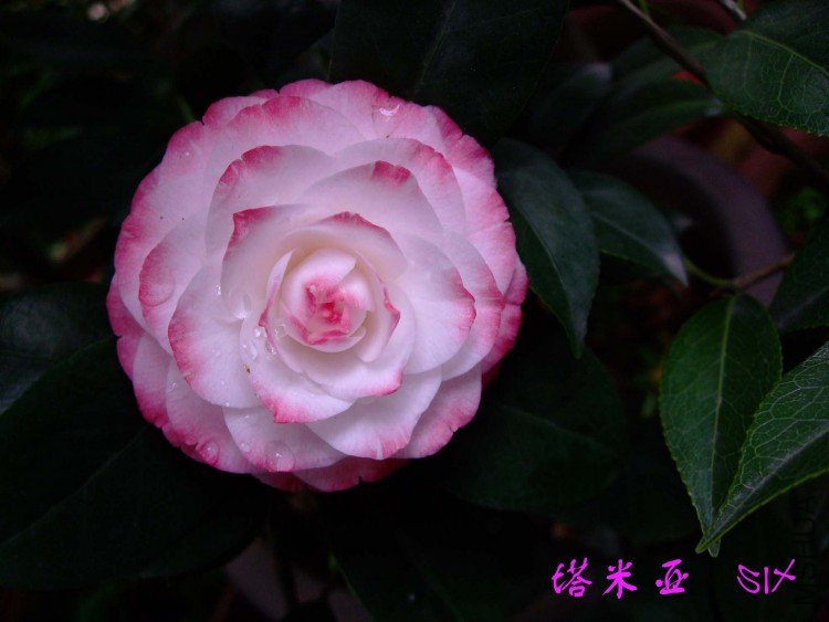 ������ 10-4-14 (6).jpg