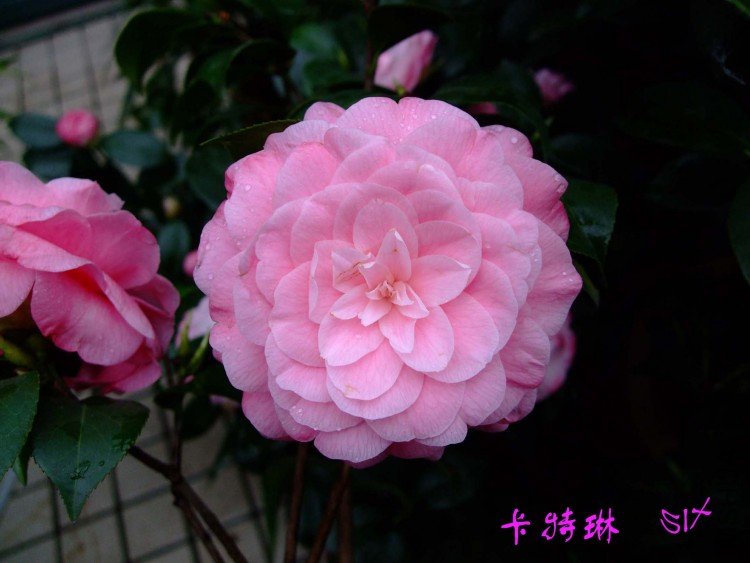 ������ 10-4-14(1).jpg