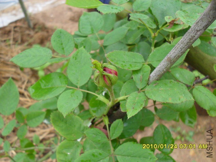 ��ĵ���¼�