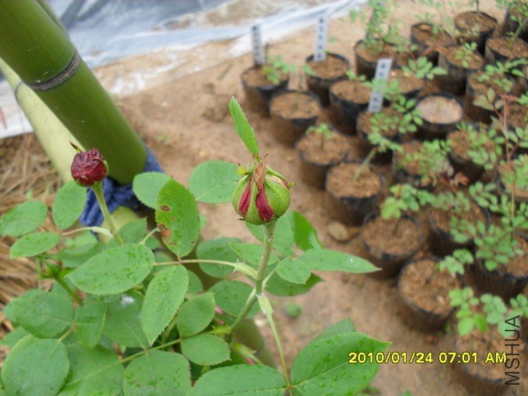 ��ĵ���¼�