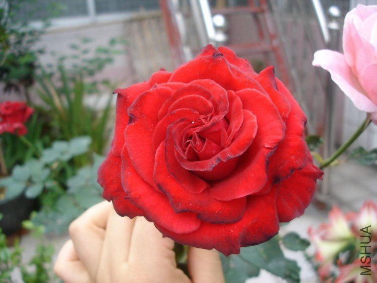 DSC01279.JPG