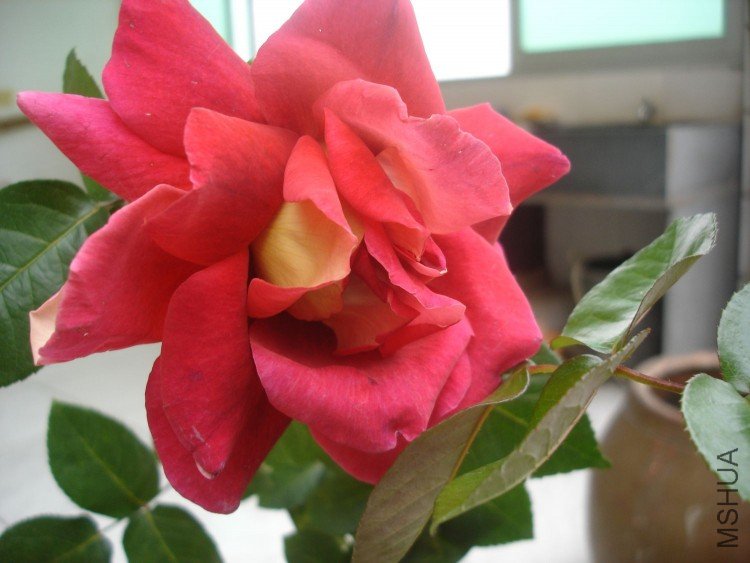 DSC01273.JPG