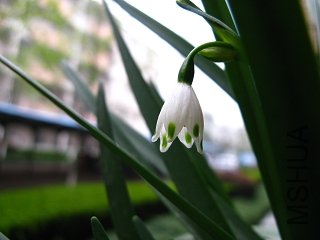 IMG_0076.JPG
