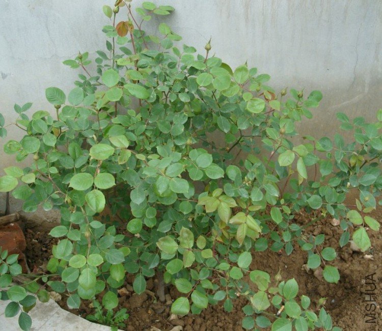 %3PMP5GS)ANTF5Y6WKG3)JC.jpg