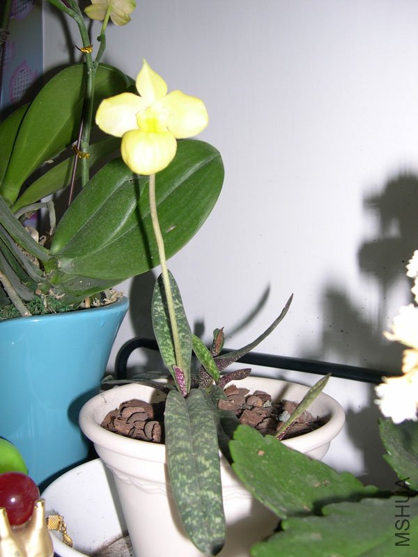 DSCN4922.JPG