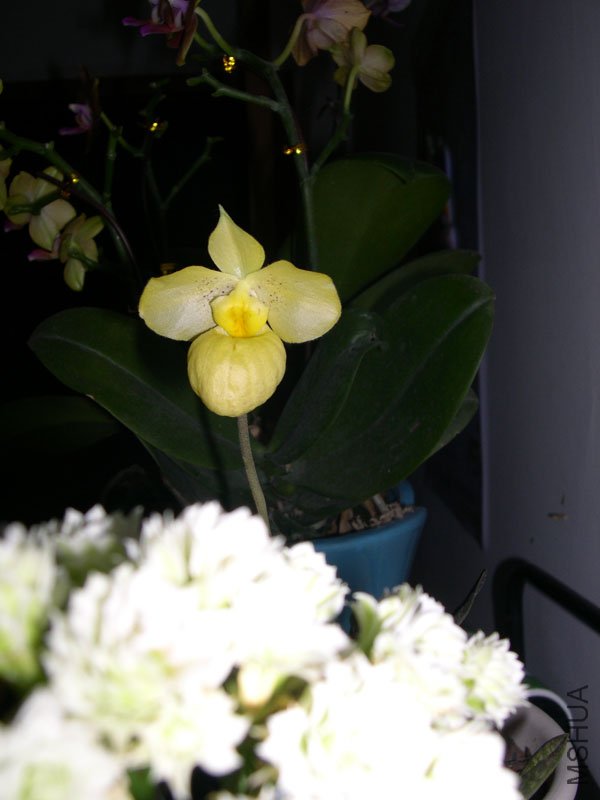 DSCN4924.JPG