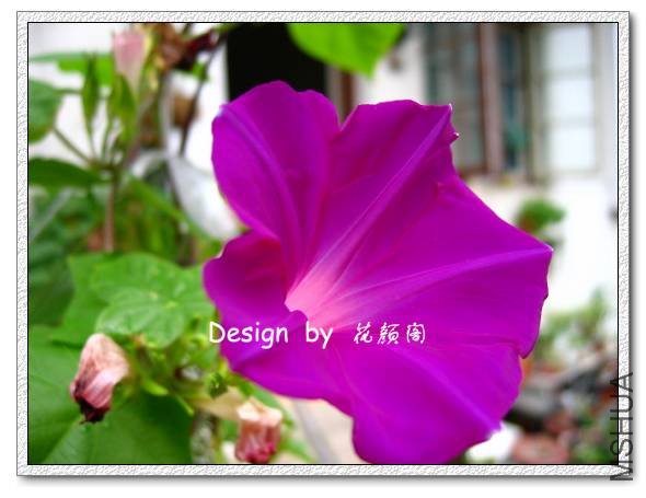 ǣţ 3.jpg