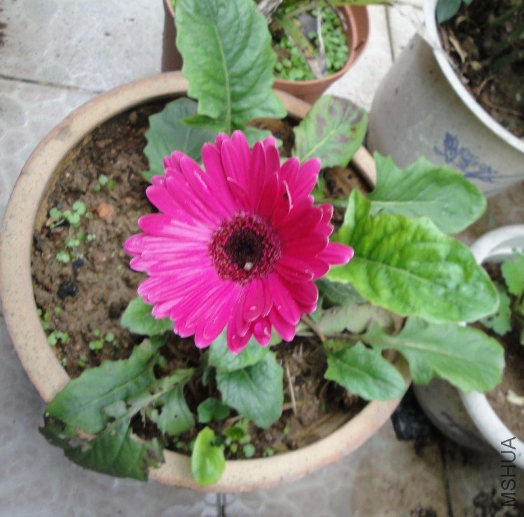 DSC01232.JPG