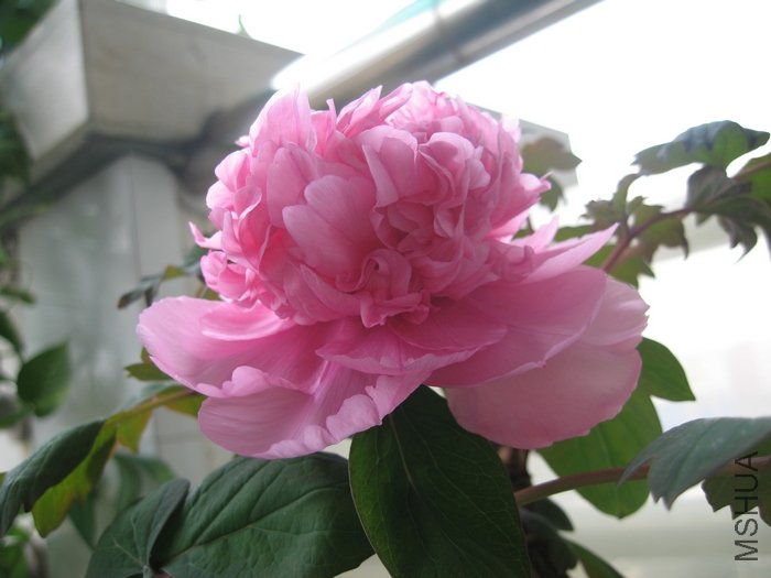 ĵ�� 023.jpg