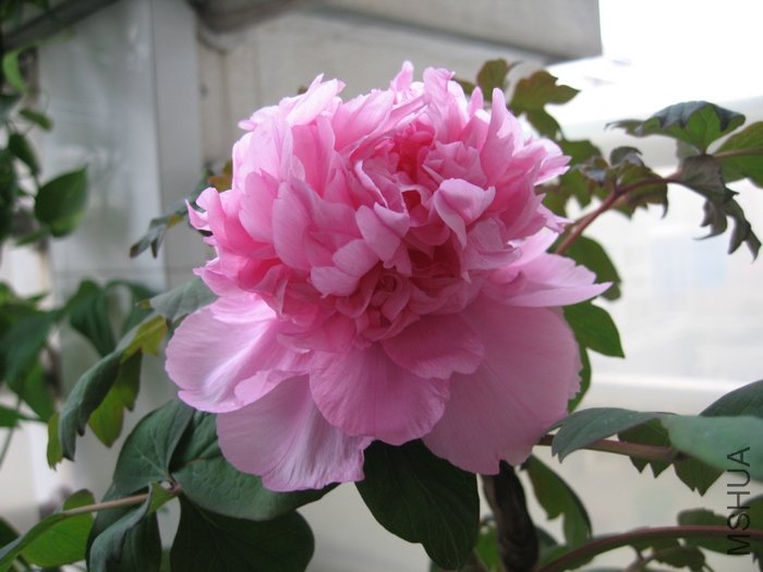 ĵ�� 028.jpg