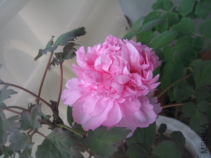 ĵ�� 025.jpg