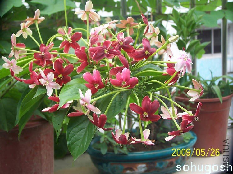 100_3372.jpg