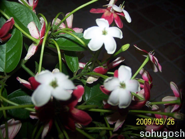 100_3359.jpg