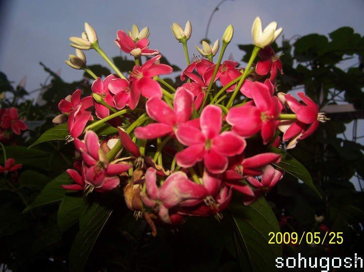 100_3357.jpg
