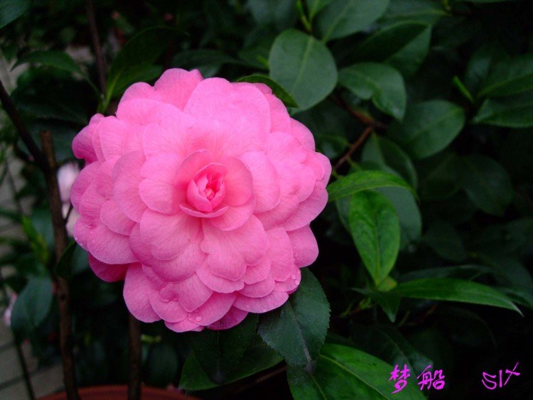 �δ�  10-4-20 (1).jpg